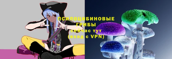 не бодяженный Алексин