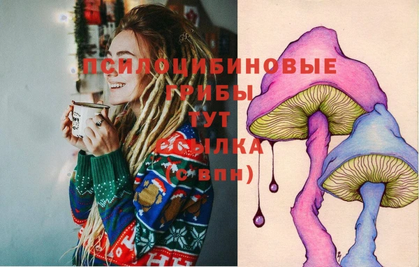 не бодяженный Алексин