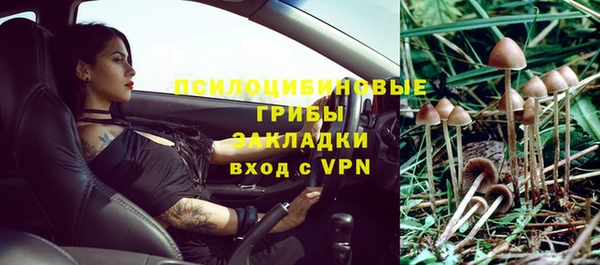 дмт Армянск