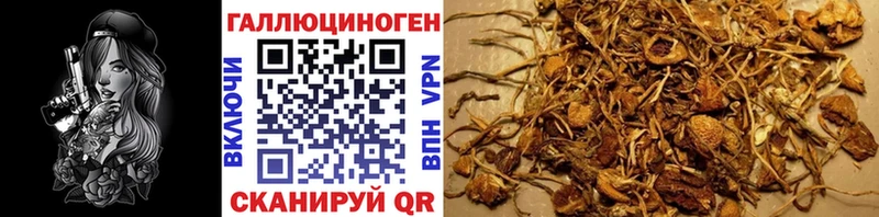 МЕГА ТОР Арск Галлюциногенные грибы мухоморы